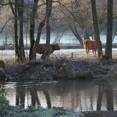 Le Gite De L Ourthe Ortheuville Kültér fotó