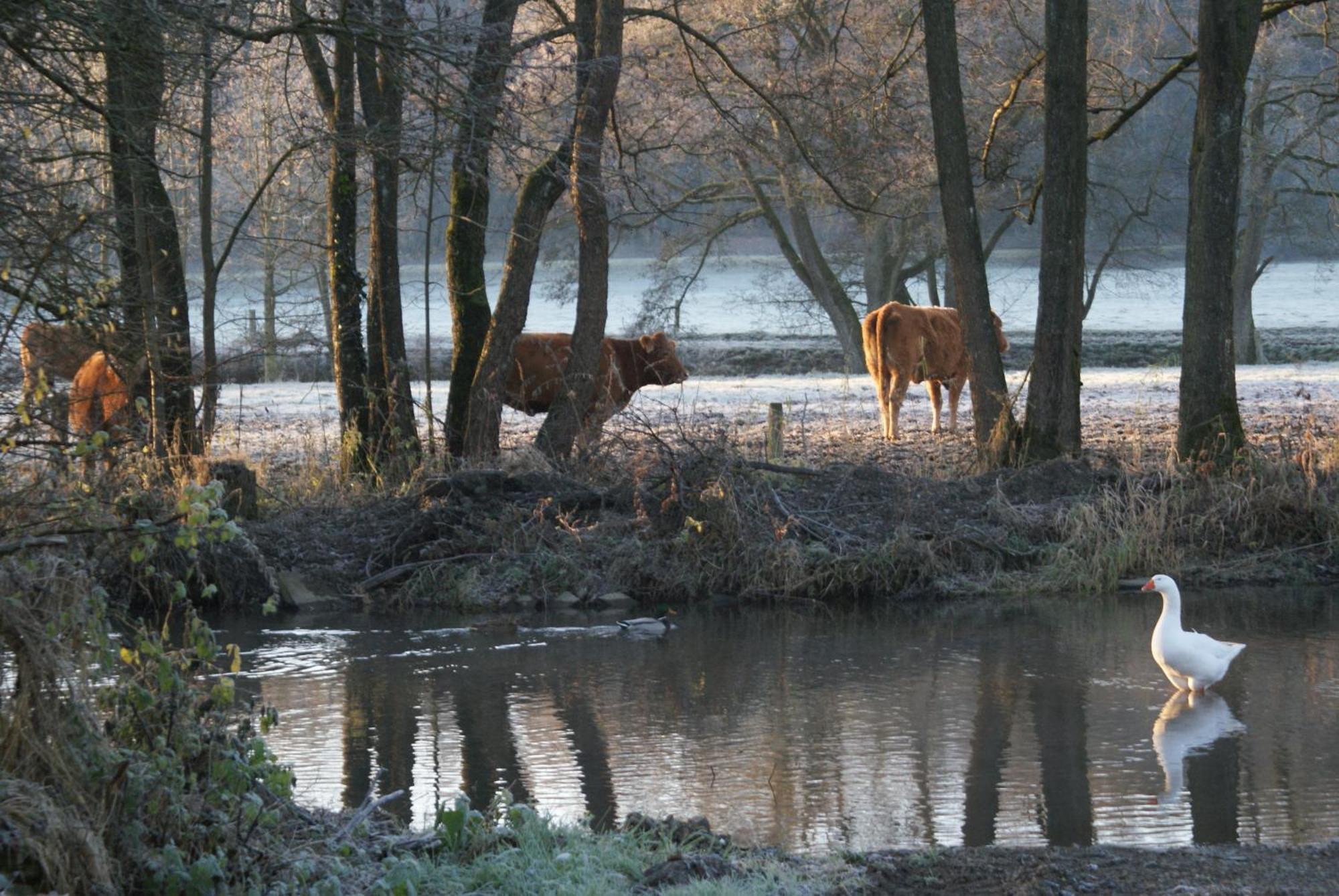Le Gite De L Ourthe Ortheuville Kültér fotó