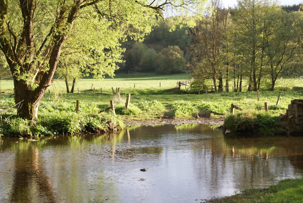 Le Gite De L Ourthe Ortheuville Kültér fotó