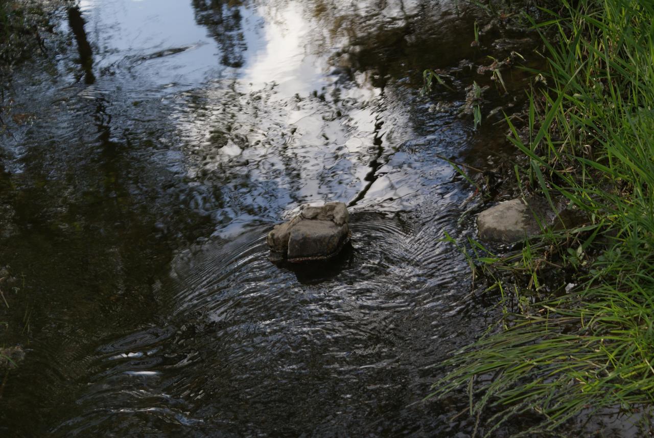 Le Gite De L Ourthe Ortheuville Kültér fotó