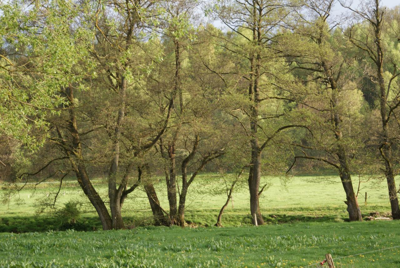 Le Gite De L Ourthe Ortheuville Kültér fotó